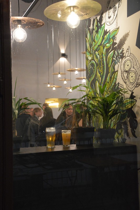 Looking in through the window: plants, beers and cymbal lamps